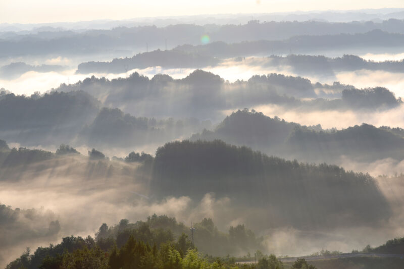 La detección de árboles interfiere con los cálculos climáticos – Ars Technica