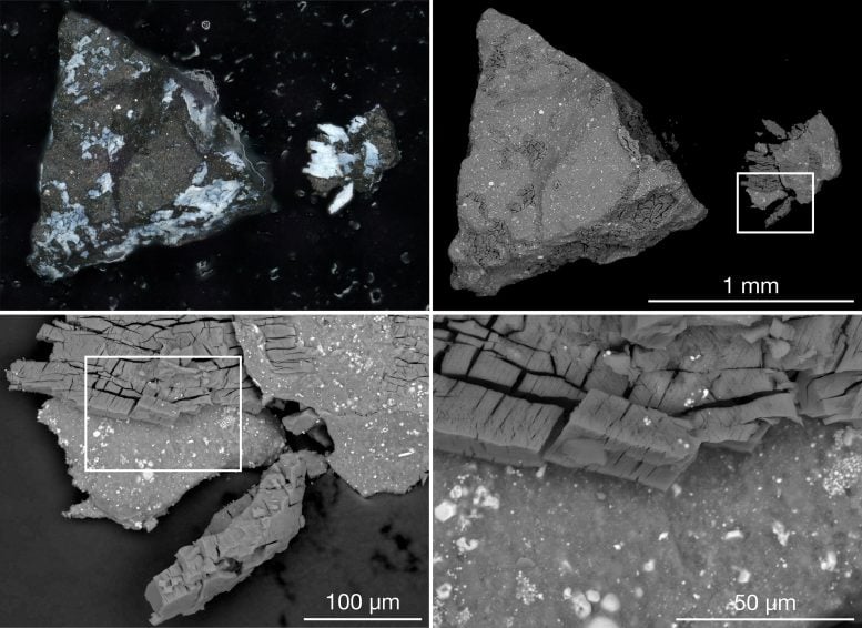 Imágenes microscópicas de muestra del asteroide Bennu