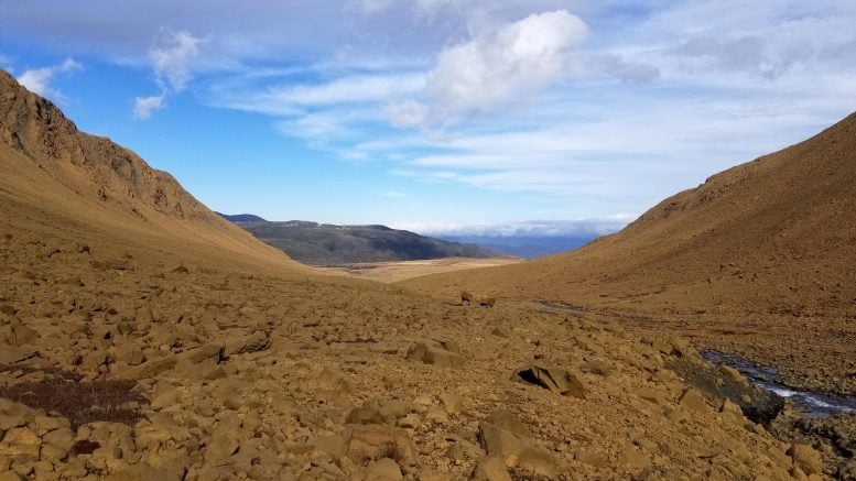 Tierras altas de Terranova