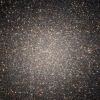 El cúmulo estelar Omega Centauri contiene millones de estrellas.  El movimiento de algunas estrellas indica la presencia de un agujero negro de tamaño mediano en su centro.