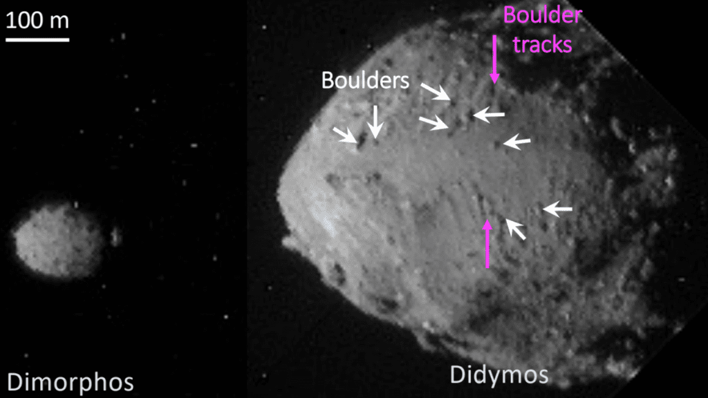 La misión DART de la NASA reveló la edad de dos objetivos de roca espacial (fotos)