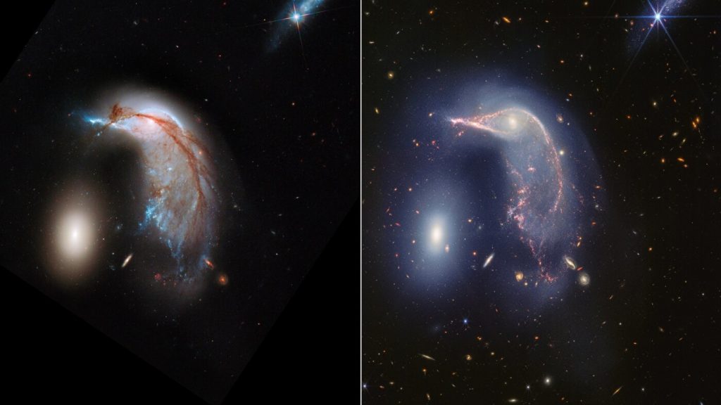Dos galaxias, el Pingüino y el Huevo, obtienen una foto familiar gracias al Telescopio Webb: NPR