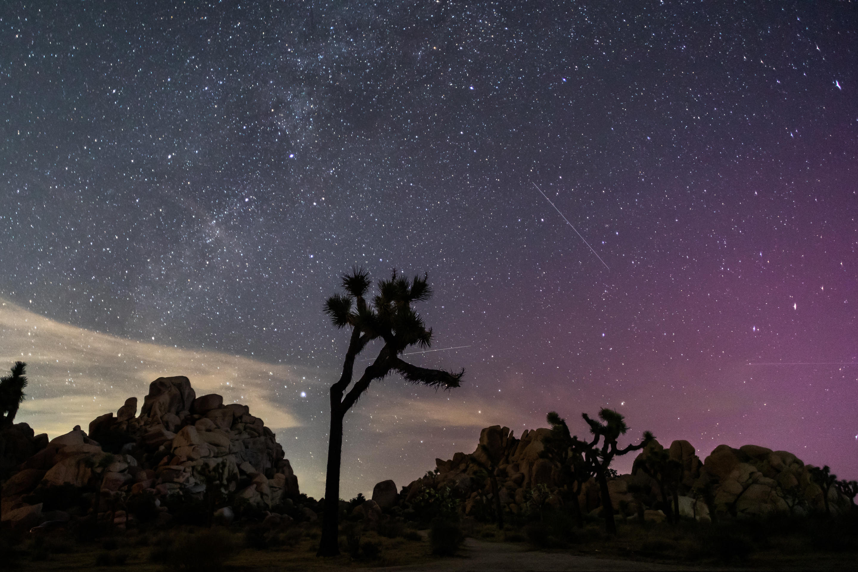 La aurora boreal ilumina el cielo sobre el Parque Nacional Joshua Tree en California durante la lluvia de meteoritos de las Perseidas. 