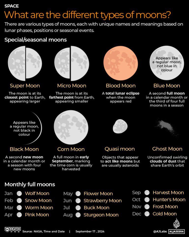 Interactivo - Diferentes tipos de satélites-1726584302