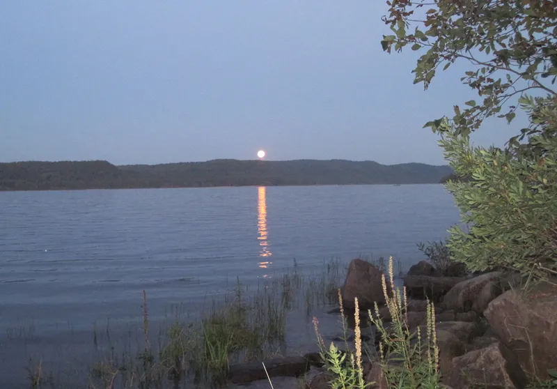 Anne Cerdulla de Deep River, Ontario, Canadá, capturó una fotografía de una súper luna de cosecha sobre el río Ottawa el 17 de septiembre de 2024, a las 8 p.m. hora local. Equipo: Cámara Canon.