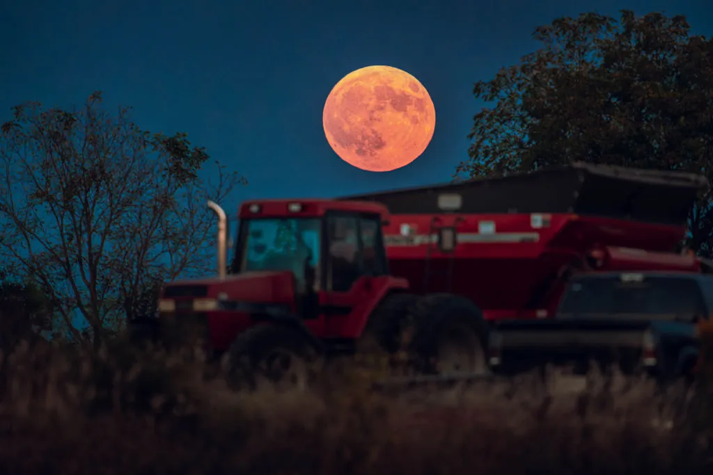 ¡Una verdadera luna de cosecha! Aparece una superluna sobre una cosecha de soja en Malco Farms en Monroe, Wisconsin, el 17 de septiembre de 2024. Foto de Ross Harried/NoorPhoto vía Getty Images