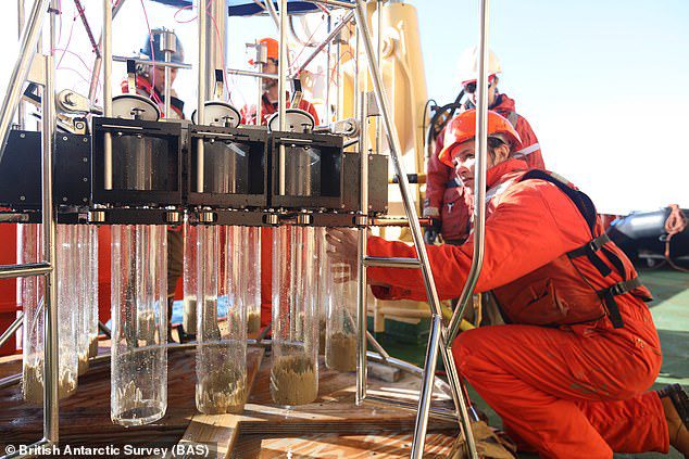 Los investigadores del British Antártida Survey (BAS) utilizaron robots submarinos para tomar nuevas medidas del glaciar, que tiene aproximadamente el tamaño de Gran Bretaña.