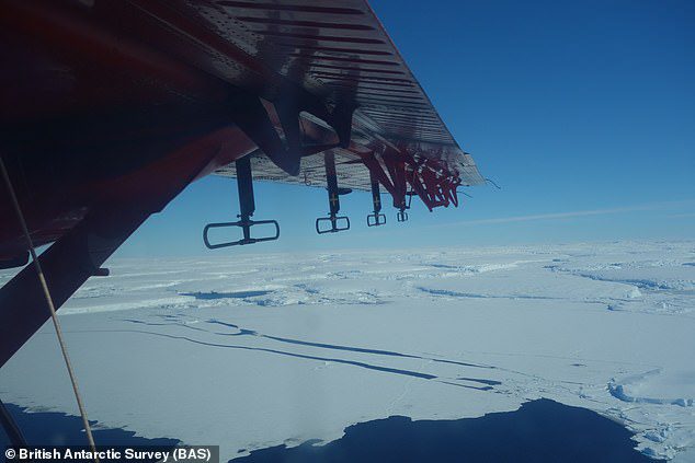 Es alarmante que si toda la capa de hielo de la Antártida occidental colapsara, el nivel global del mar aumentaría 3,3 metros (10,8 pies).