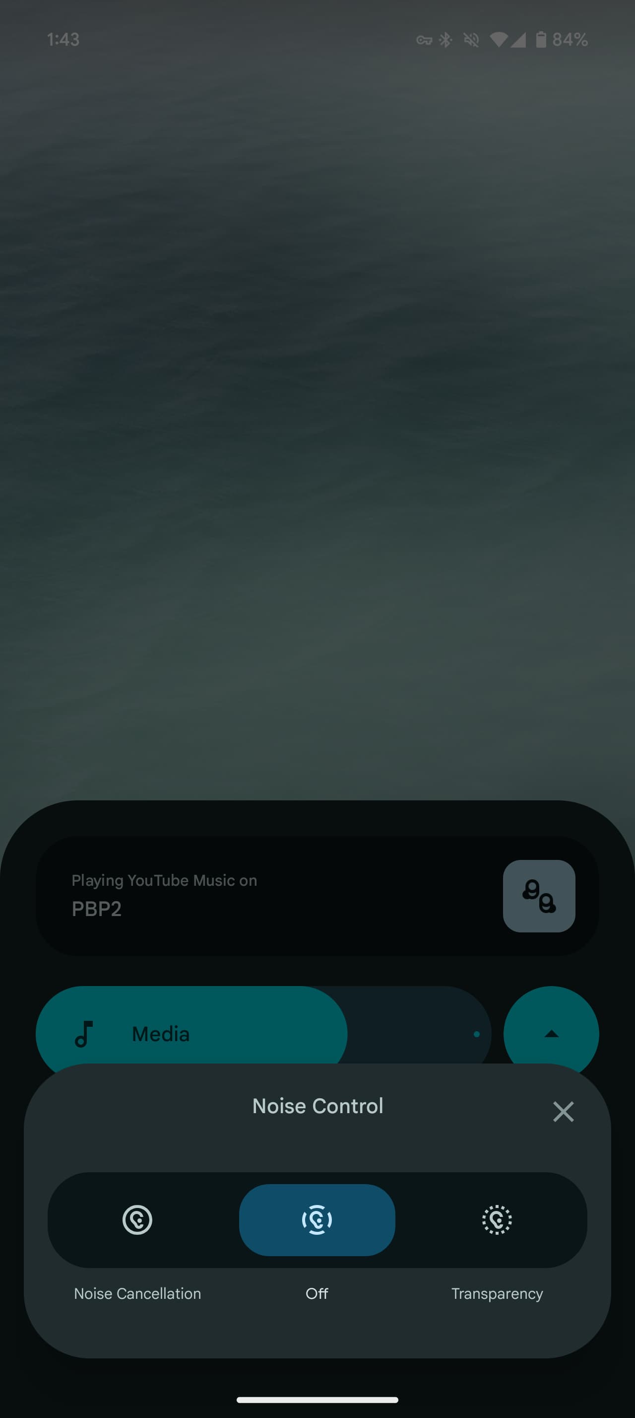 Control de ruido en Pixel Buds