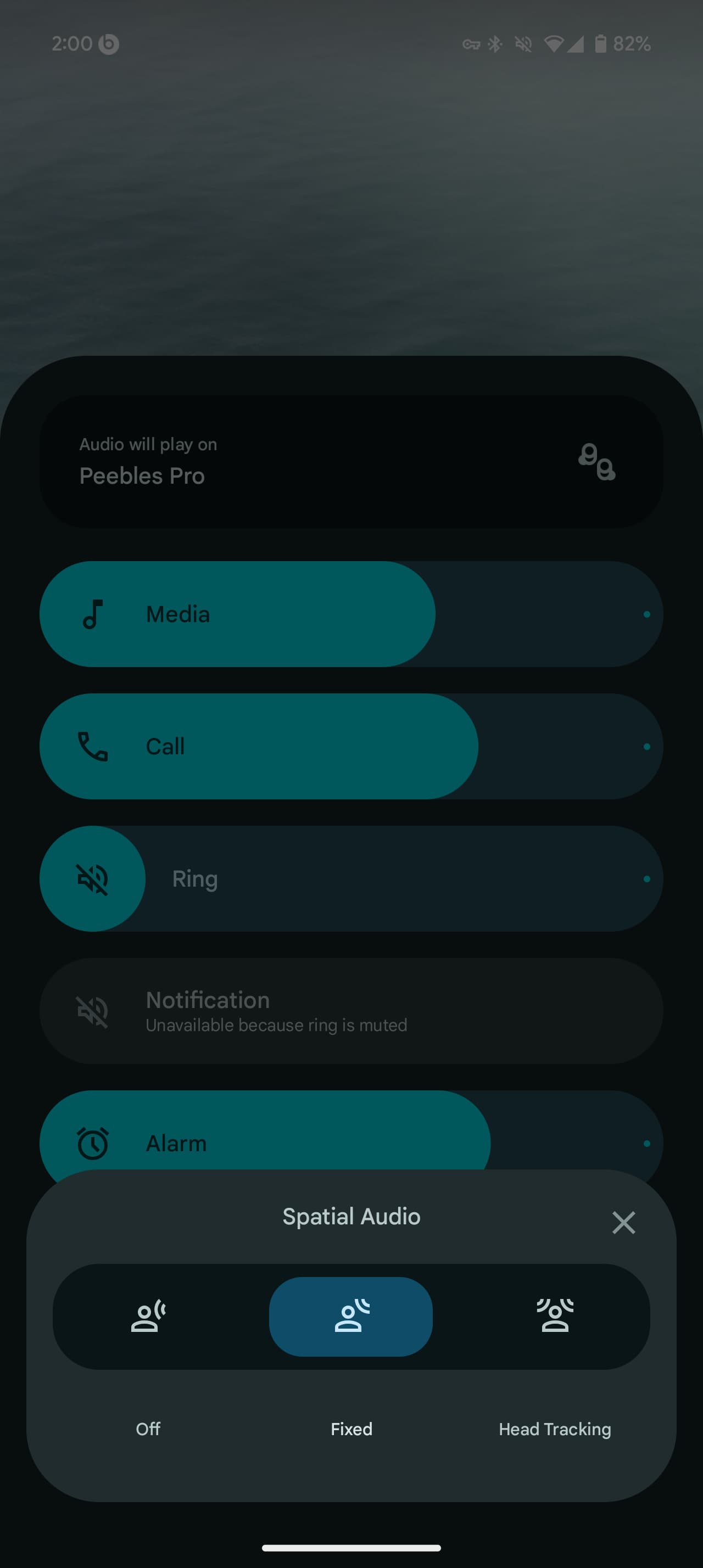 Control de ruido en Pixel Buds